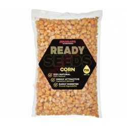 ZIARNA READY CORN 1KG