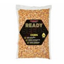 ZIARNA READY CORN 1KG