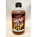 DIP G&G GARLIC 500ML