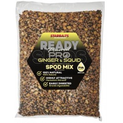 ZAIRAN PRO GINGER SQUID SPOD MIX 3KG