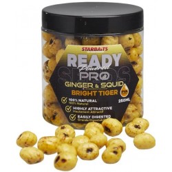 ZIARNA BRITH PRO GINGER SQUID TIGER