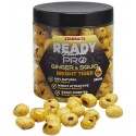 ZIARNA BRITH PRO GINGER SQUID TIGER