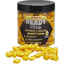 ZIARNA BRITH PRO GINGER SQUID CORN