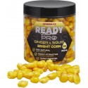 ZIARNA BRITH PRO GINGER SQUID CORN