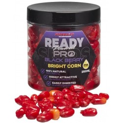 ZIARNA BRITH PRO BLACKBERRY CORN